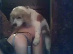 Polish brunette hair adores fucking hard with her dog on camera 